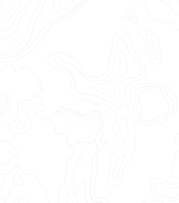 bg-curve