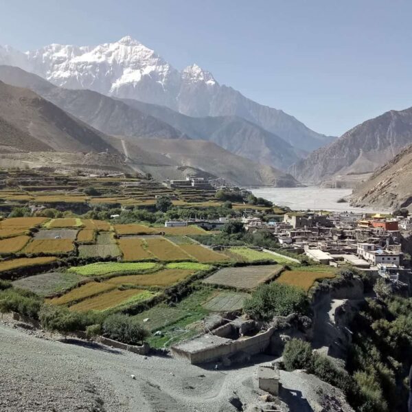 Jomsom Muktinath Trek