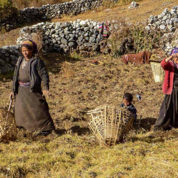 Randonnée sur le sentier du patrimoine Tamang