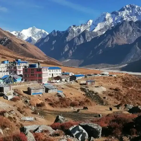 Guide du trek de Langtang