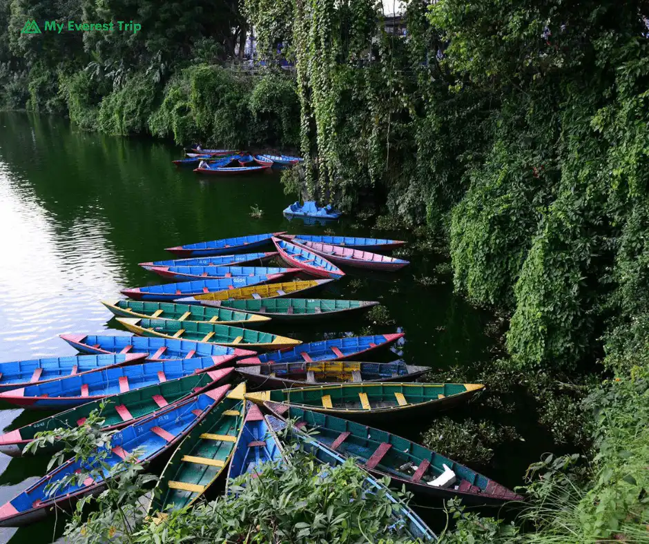 Annapurna Base Camp Trek Trail in Pokhara
