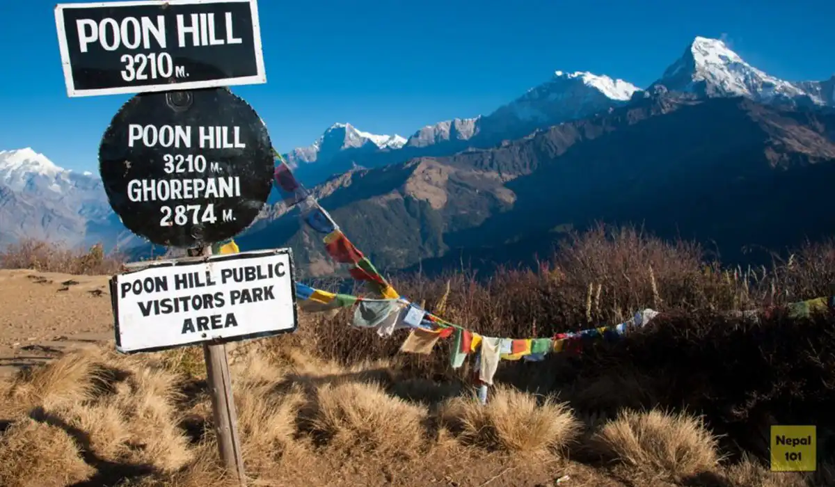 Trekking al campo base dell'Annapurna: ultima parola