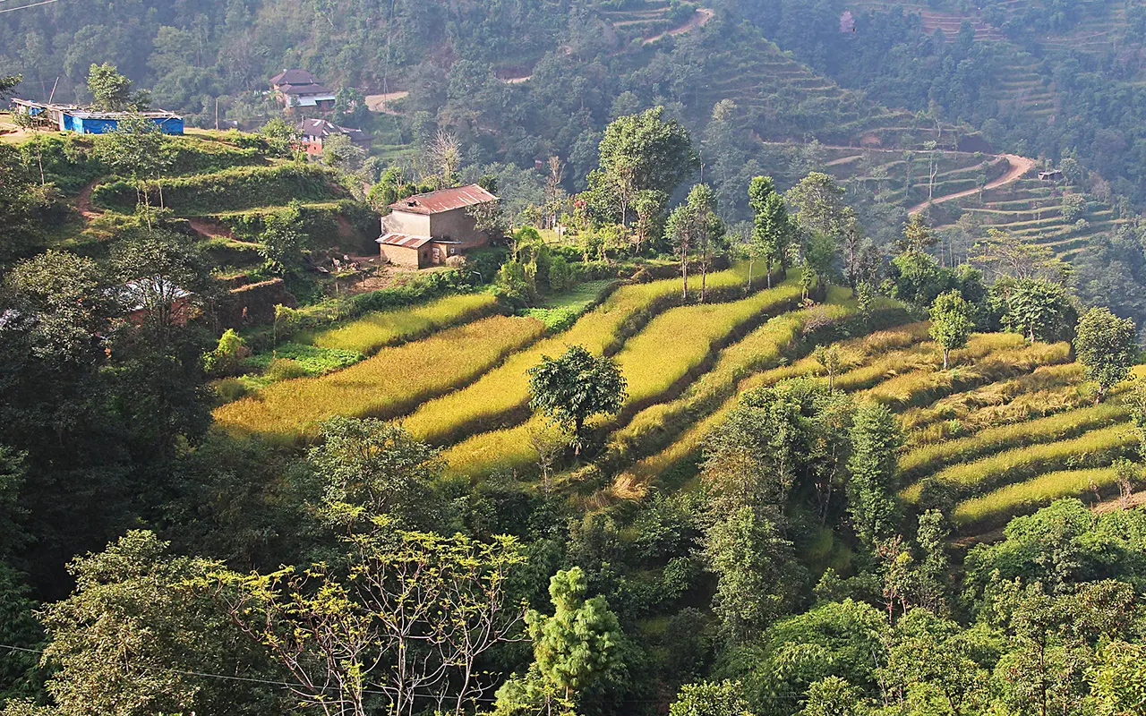 Top 15 Things to Do in Kathmandu for First-Time Visitors 12 Shivapuri