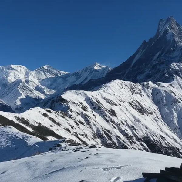Mardi Himal Trek Cost