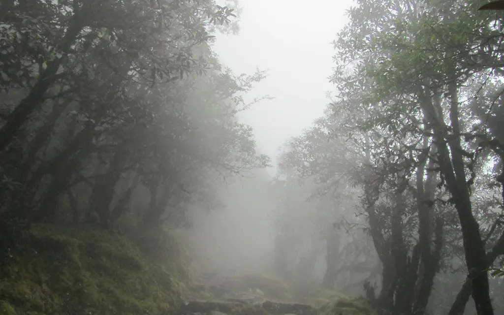 Trekking in Nepal