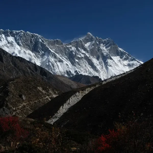 qalereya