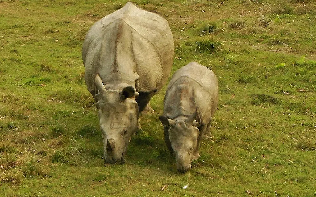 Wildlife Reserves in Nepal
